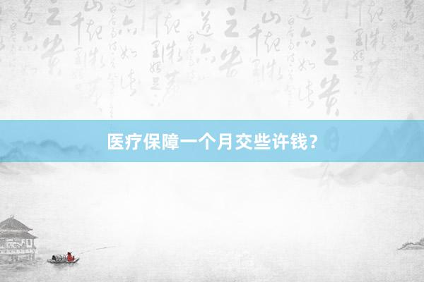 医疗保障一个月交些许钱？